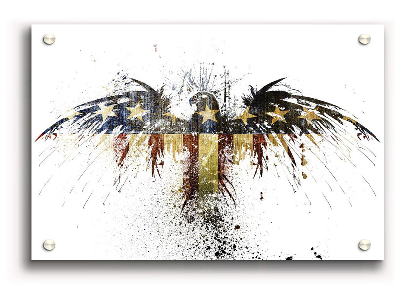 American Eagle 1 acrylic print on 5mm thick glass, showcasing vibrant colors and a majestic eagle design.