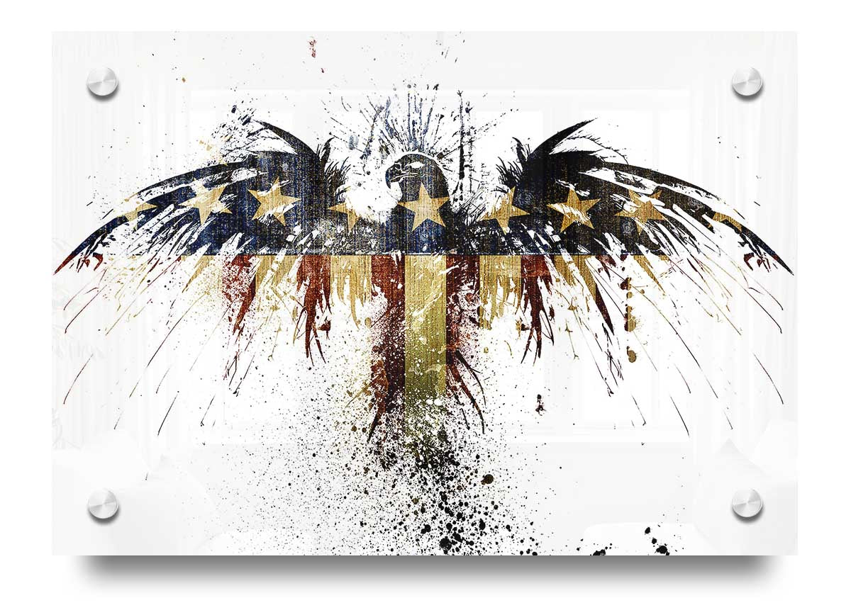 American Eagle 2 acrylic print on 5mm thick glass, showcasing vibrant colors and detailed eagle artwork.