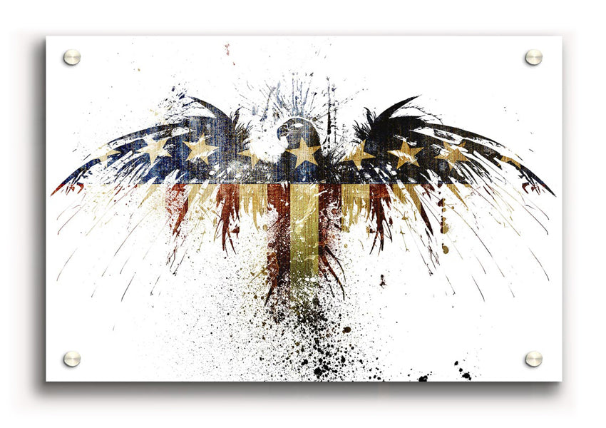 American Eagle 2 acrylic print on 5mm thick glass, showcasing vibrant colors and detailed eagle artwork.