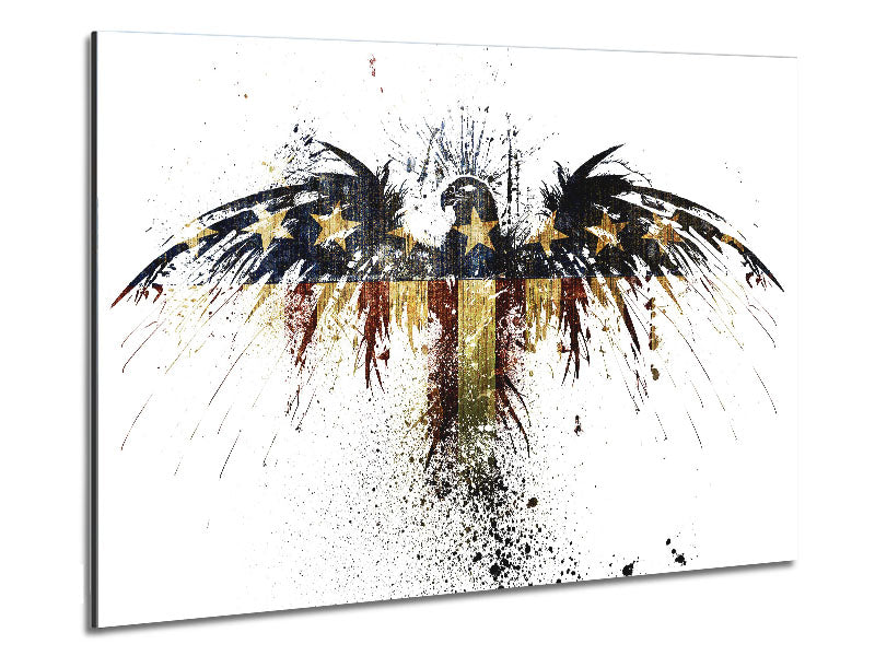 American Eagle 2 artwork printed on brushed aluminium dibond, showcasing vibrant colors and modern design.