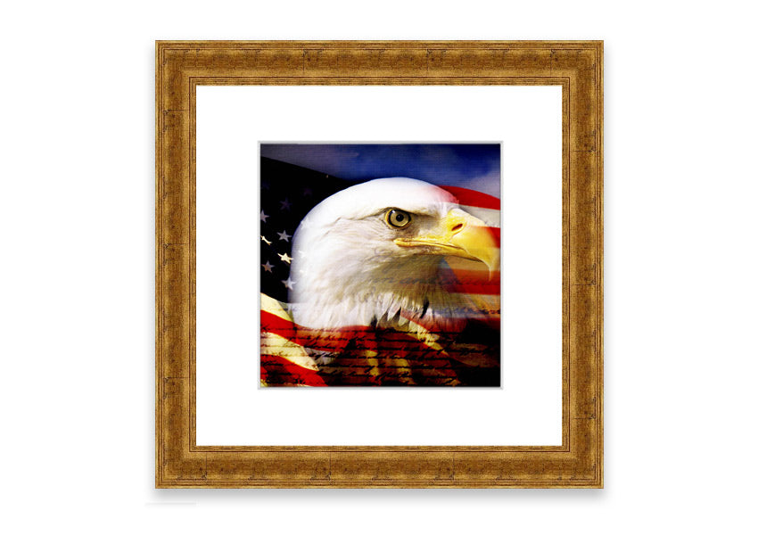 Framed American Eagle Flag print showcasing an eagle against the American flag, available in various frame colors.