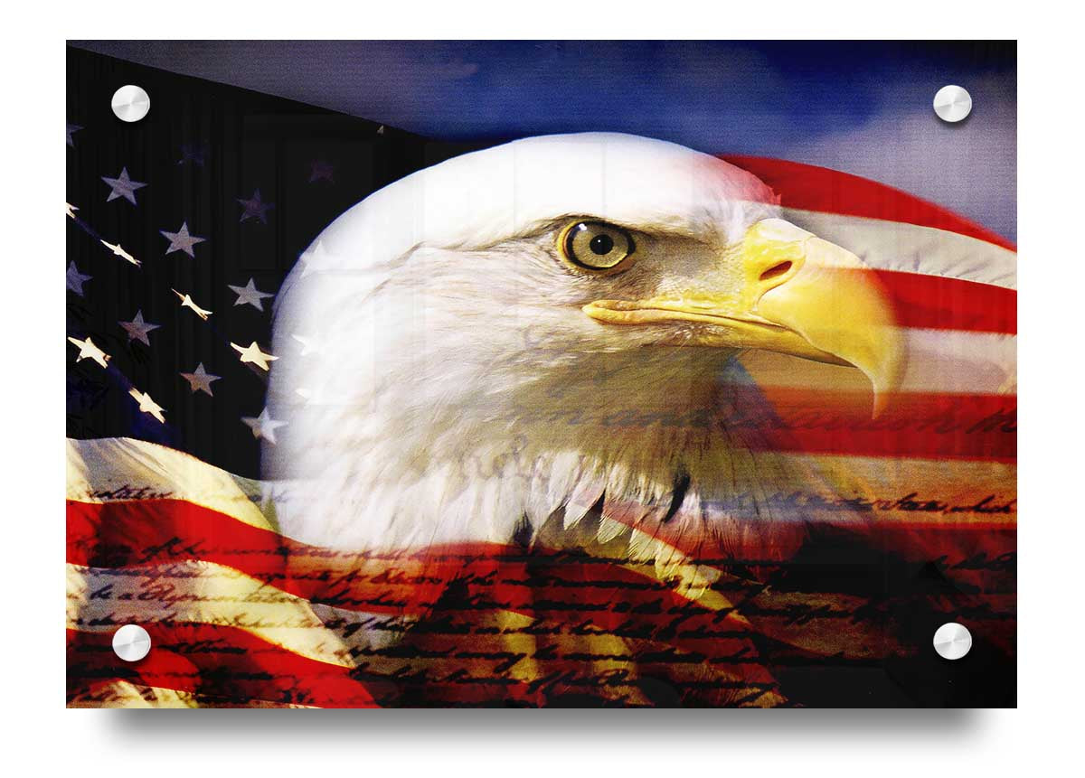 A vibrant acrylic print of the American Eagle Flag, showcasing bold colors and a majestic eagle design.