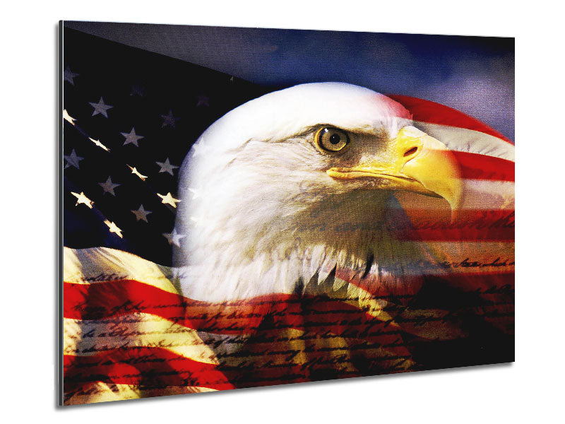 American Eagle Flag printed on brushed aluminium dibond, showcasing vibrant colors and a modern design.