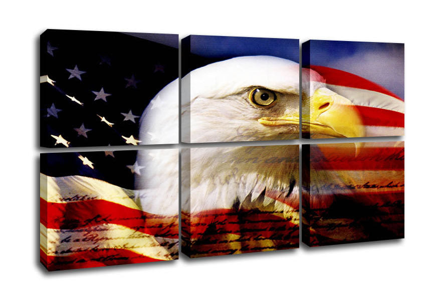 American Eagle Flag canvas art mounted on a box frame, showcasing a vibrant eagle design.