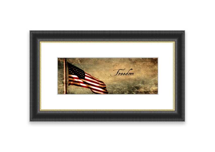 American Freedom Cornwall framed print showcasing vibrant colors and intricate details, ready to hang in various frame colors.