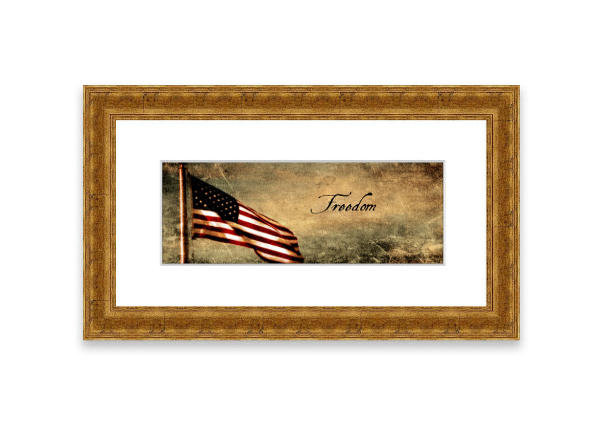 American Freedom Cornwall framed print showcasing vibrant colors and intricate details, ready to hang in various frame colors.