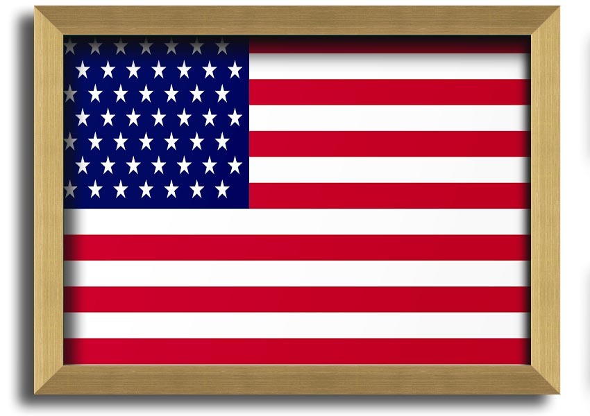 American Star framed print with multiple frame colors, handmade in the UK, ready to hang.