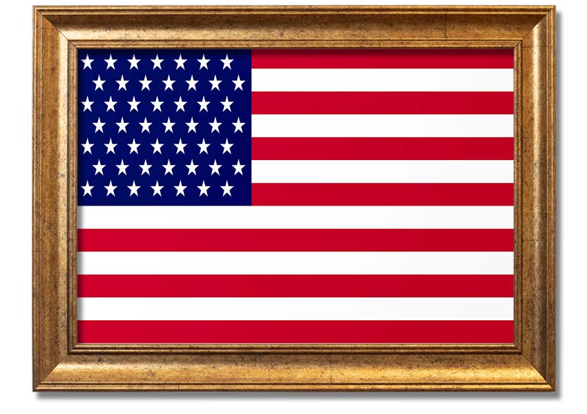 American Star framed print with multiple frame colors, handmade in the UK, ready to hang.