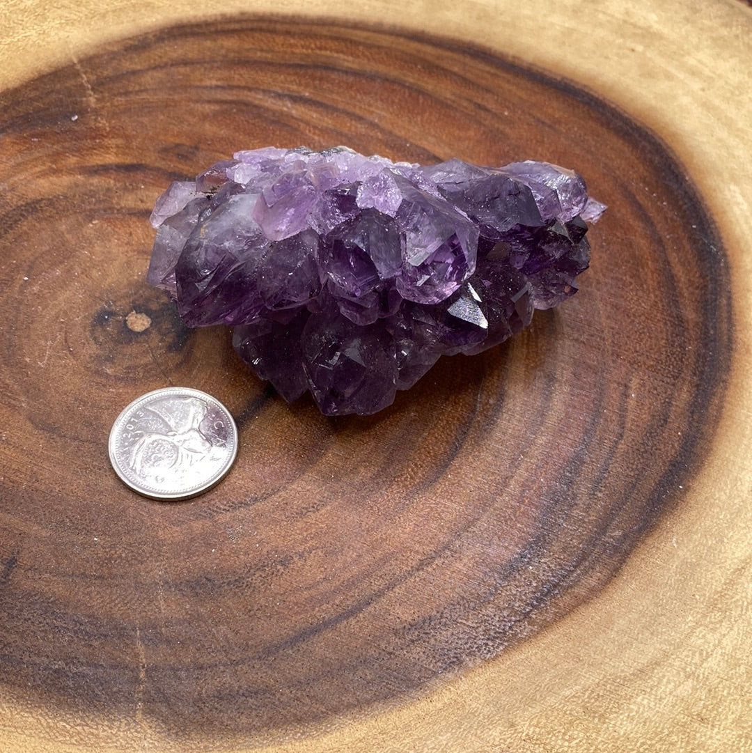 A beautiful Amethyst Druzy crystal cluster showcasing sparkling purple crystals on a rock base, radiating positive energy.