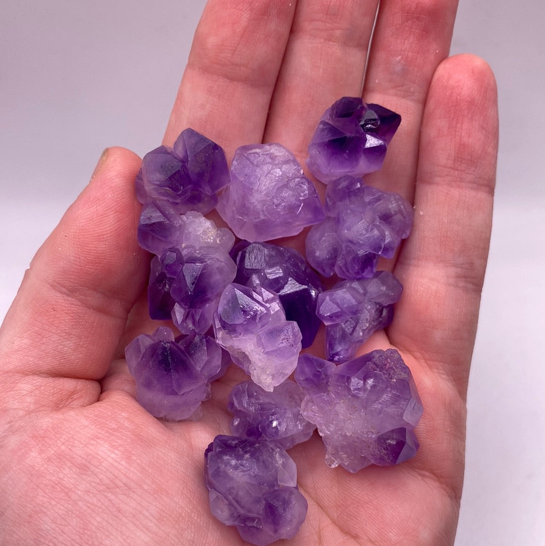 A collection of small amethyst clusters, each unique with 1-5 points, showcasing their natural beauty and vibrant purple hues.