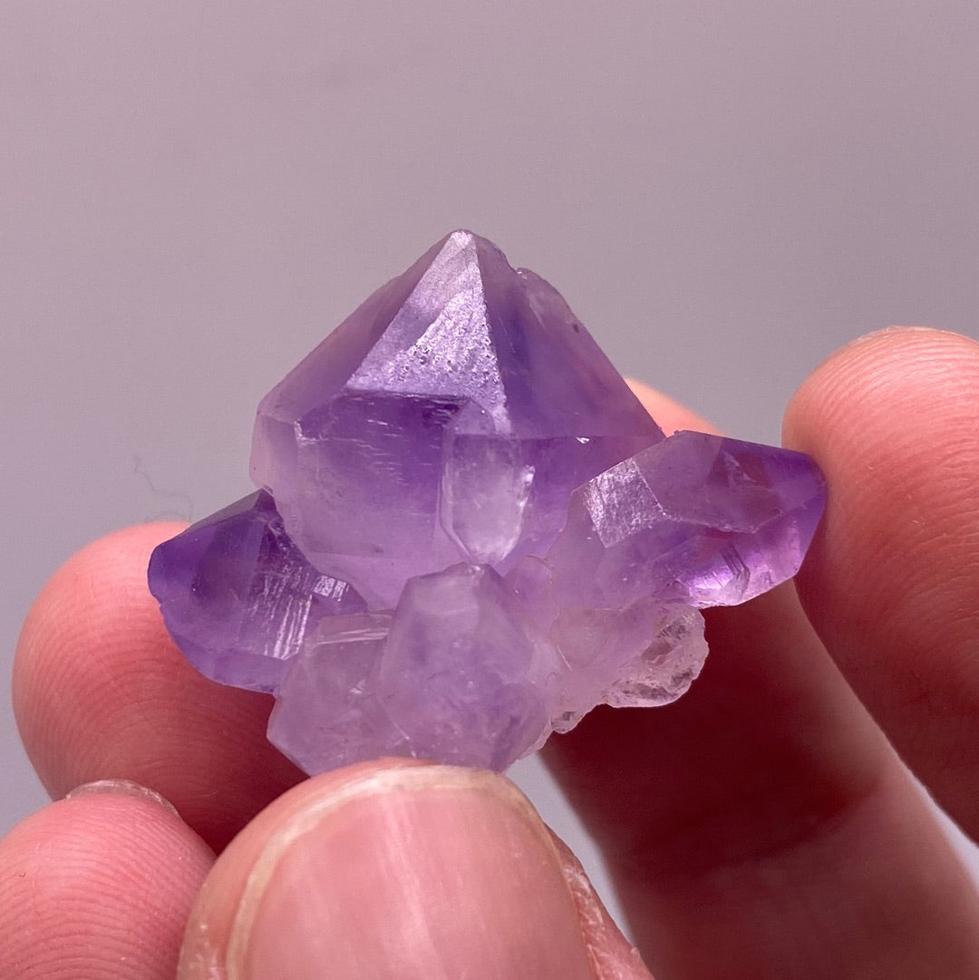 A collection of small amethyst clusters, each unique with 1-5 points, showcasing their natural beauty and vibrant purple hues.