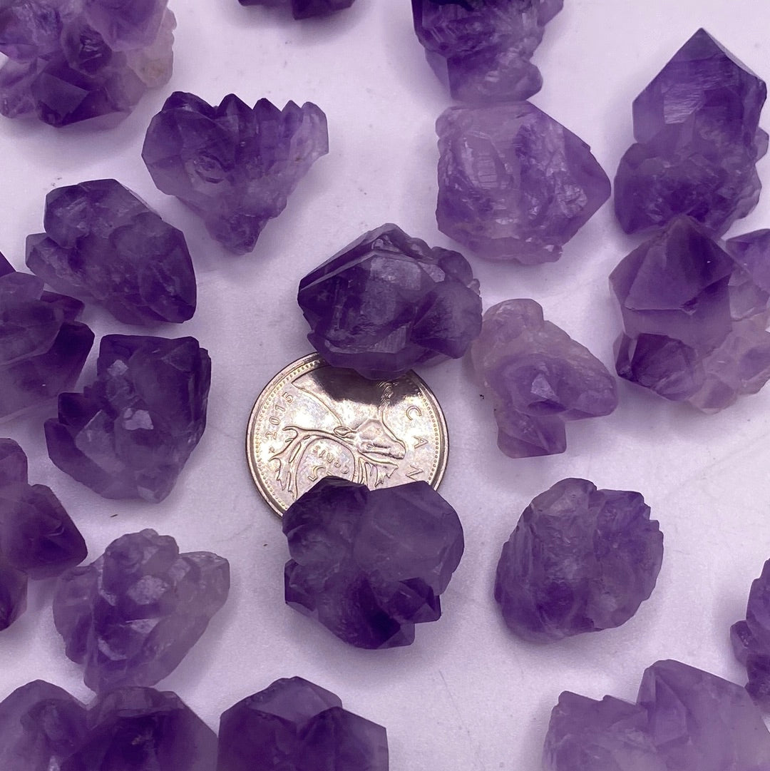 A collection of small amethyst clusters, each unique with 1-5 points, showcasing their natural beauty and vibrant purple hues.