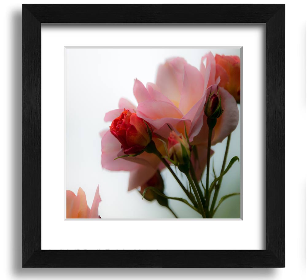 A square framed print featuring an array of vibrant pink flowers, elegantly displayed in a stylish frame.