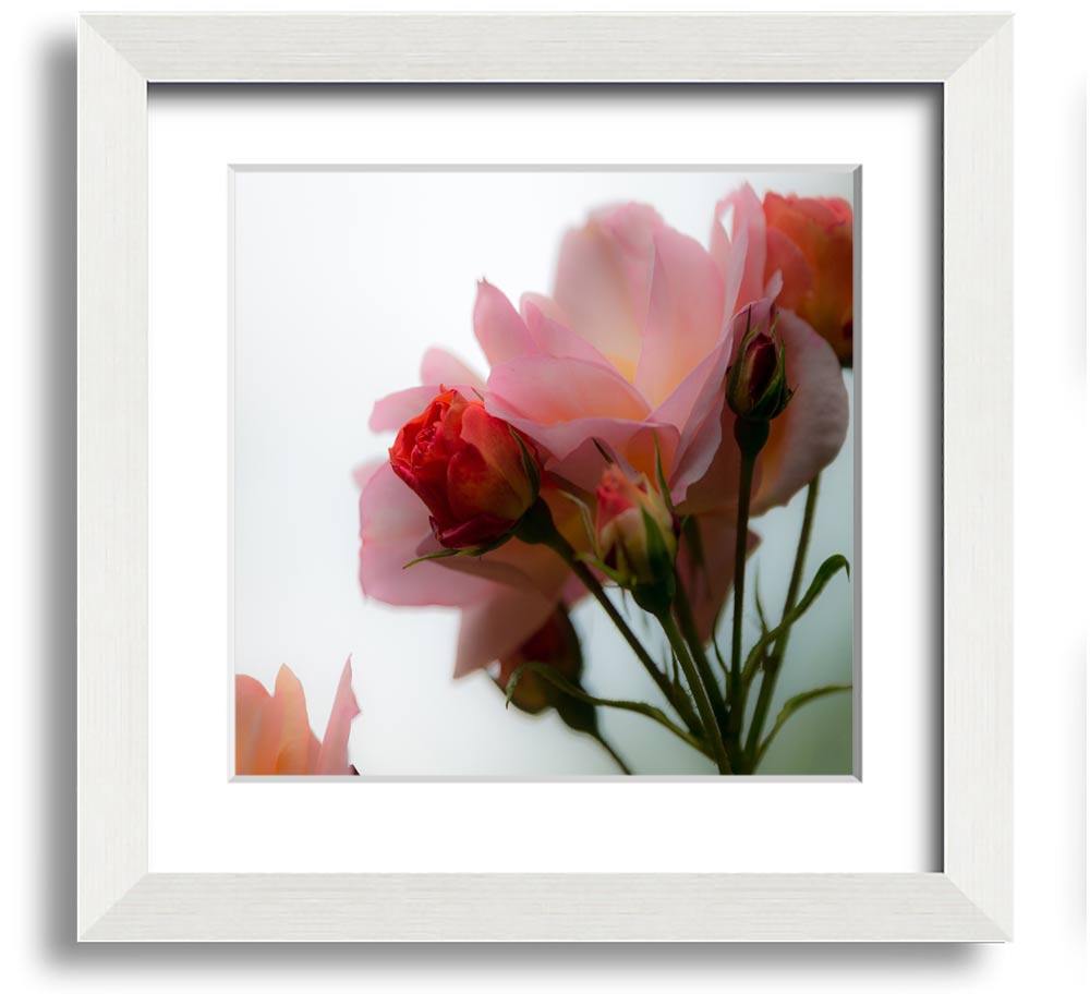 A square framed print featuring an array of vibrant pink flowers, elegantly displayed in a stylish frame.