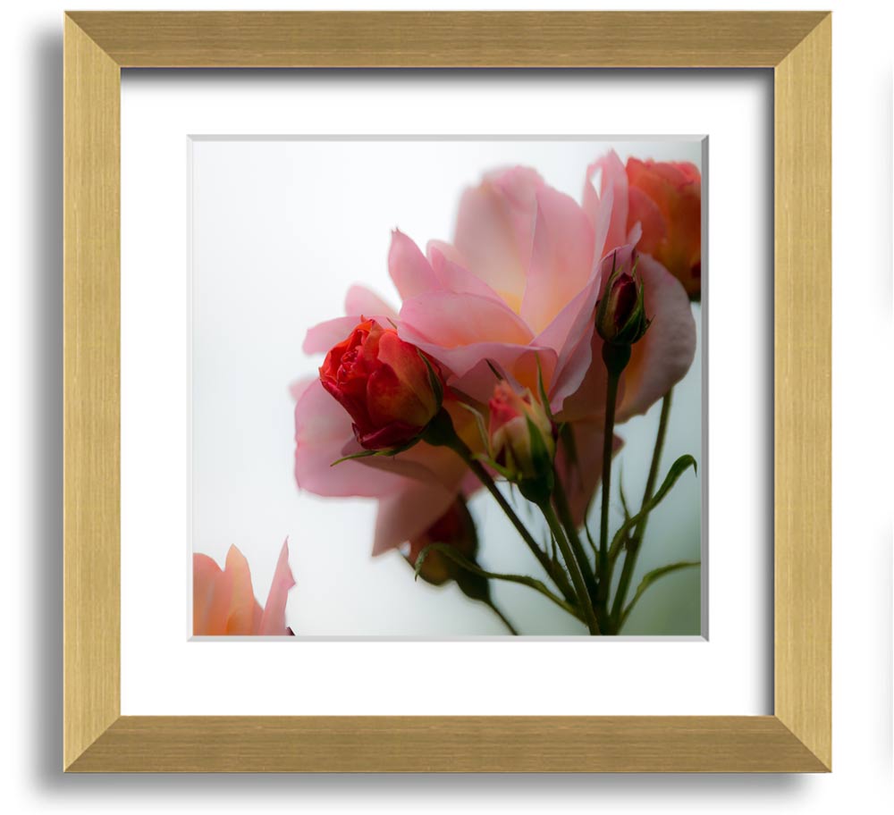 A square framed print featuring an array of vibrant pink flowers, elegantly displayed in a stylish frame.