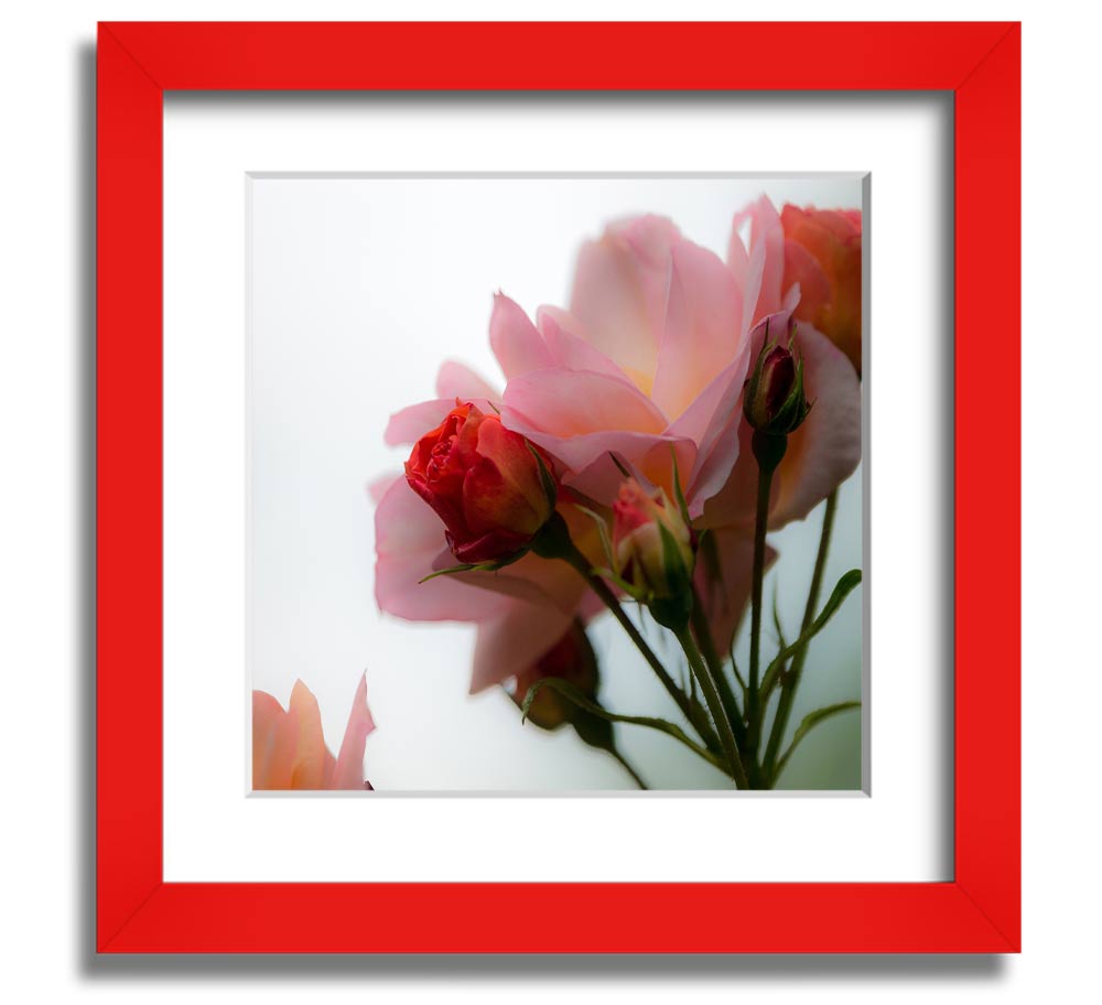 A square framed print featuring an array of vibrant pink flowers, elegantly displayed in a stylish frame.