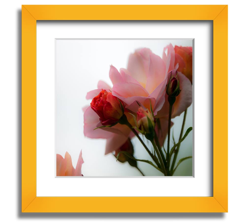 A square framed print featuring an array of vibrant pink flowers, elegantly displayed in a stylish frame.