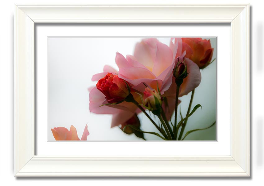 A beautifully framed print of an array of pink flowers, showcasing vibrant colors and intricate details, ready to hang on the wall.