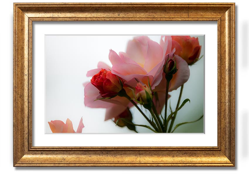 A beautifully framed print of an array of pink flowers, showcasing vibrant colors and intricate details, ready to hang on the wall.