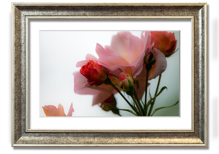 A beautifully framed print of an array of pink flowers, showcasing vibrant colors and intricate details, ready to hang on the wall.