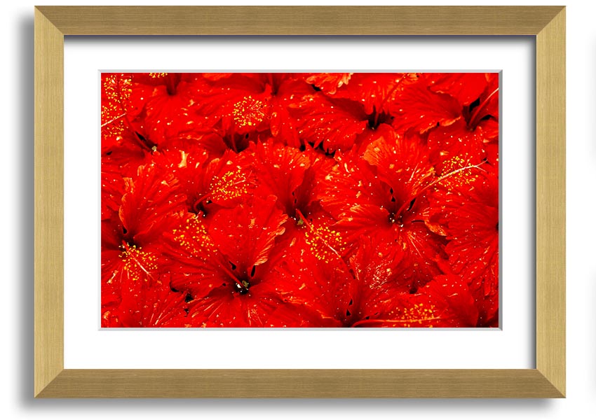 Framed print of vibrant red leaves, showcasing autumn beauty, ready to hang.