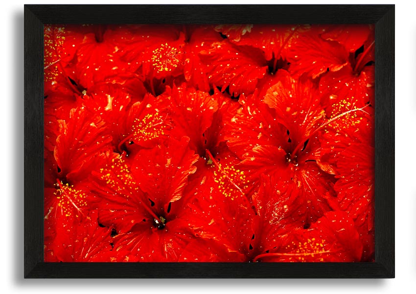 Framed print of vibrant red leaves, showcasing autumn beauty, ready to hang.