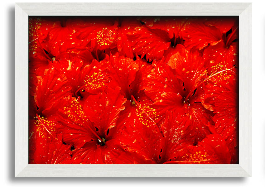 Framed print of vibrant red leaves, showcasing autumn beauty, ready to hang.