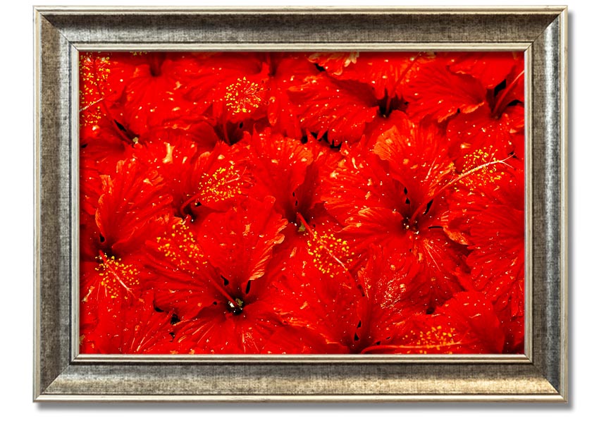 Framed print of vibrant red leaves, showcasing autumn beauty, ready to hang.