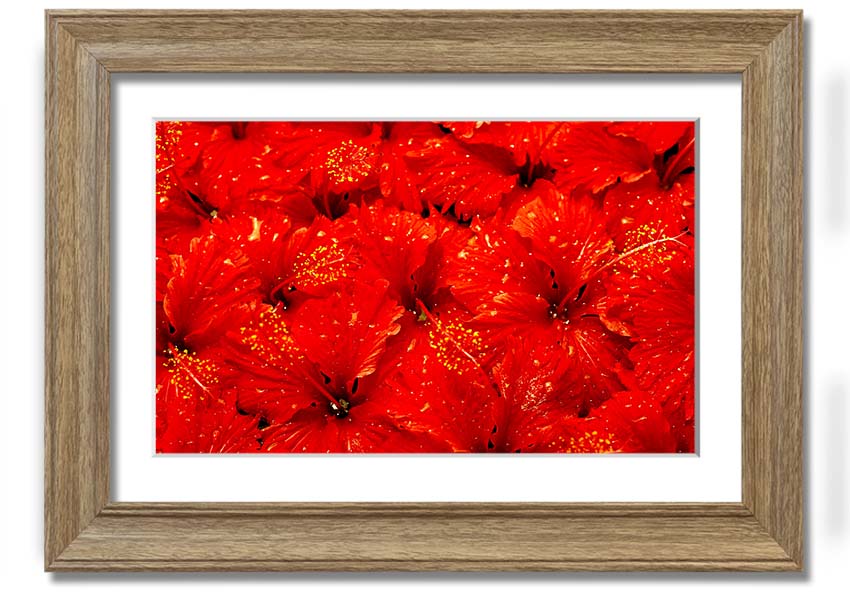 Framed print of vibrant red leaves, showcasing autumn beauty, ready to hang.