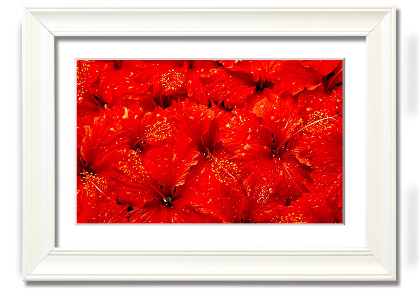 Framed print of vibrant red leaves, showcasing autumn beauty, ready to hang.