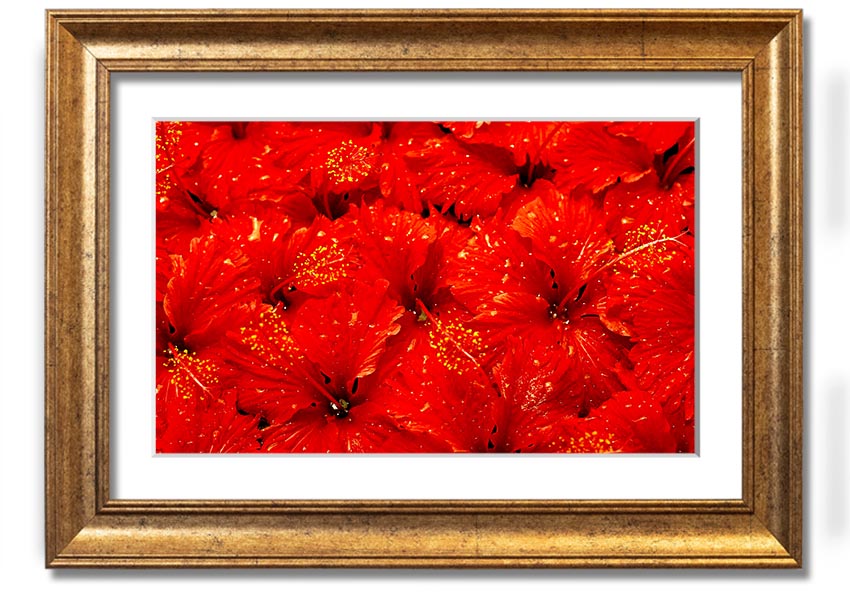 Framed print of vibrant red leaves, showcasing autumn beauty, ready to hang.