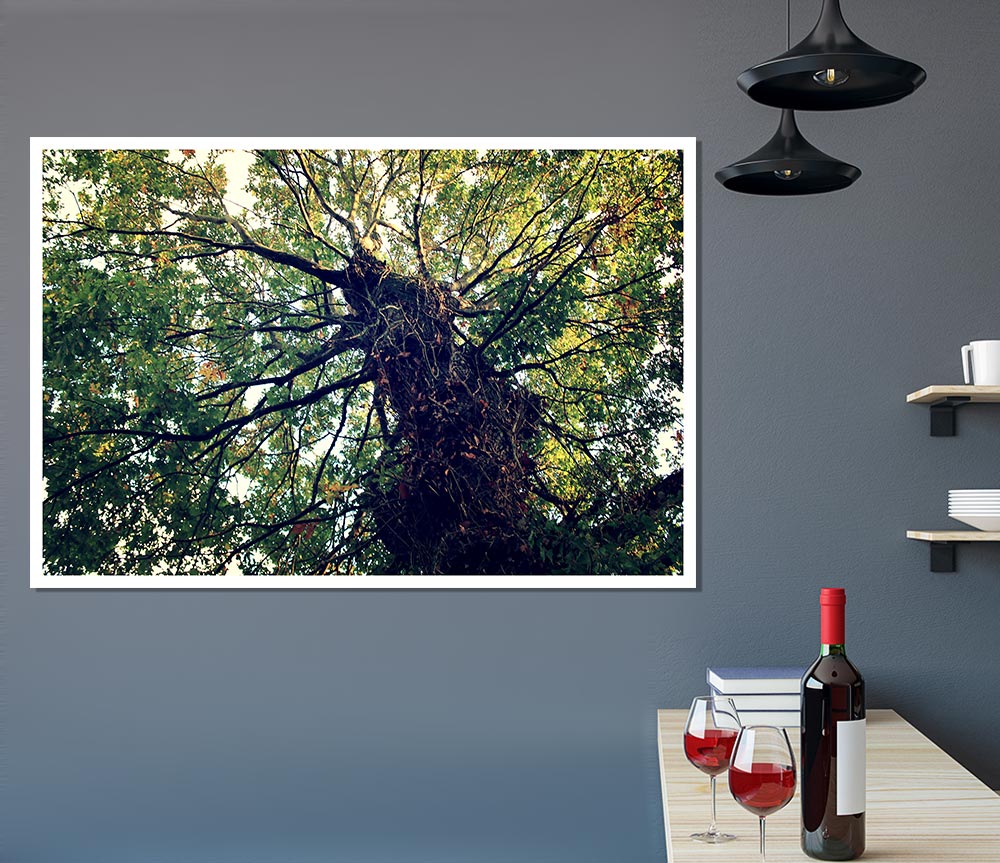 A beautiful canvas poster featuring an Ancient Forest Tree, showcasing intricate details and vibrant colors, perfect for home decor.