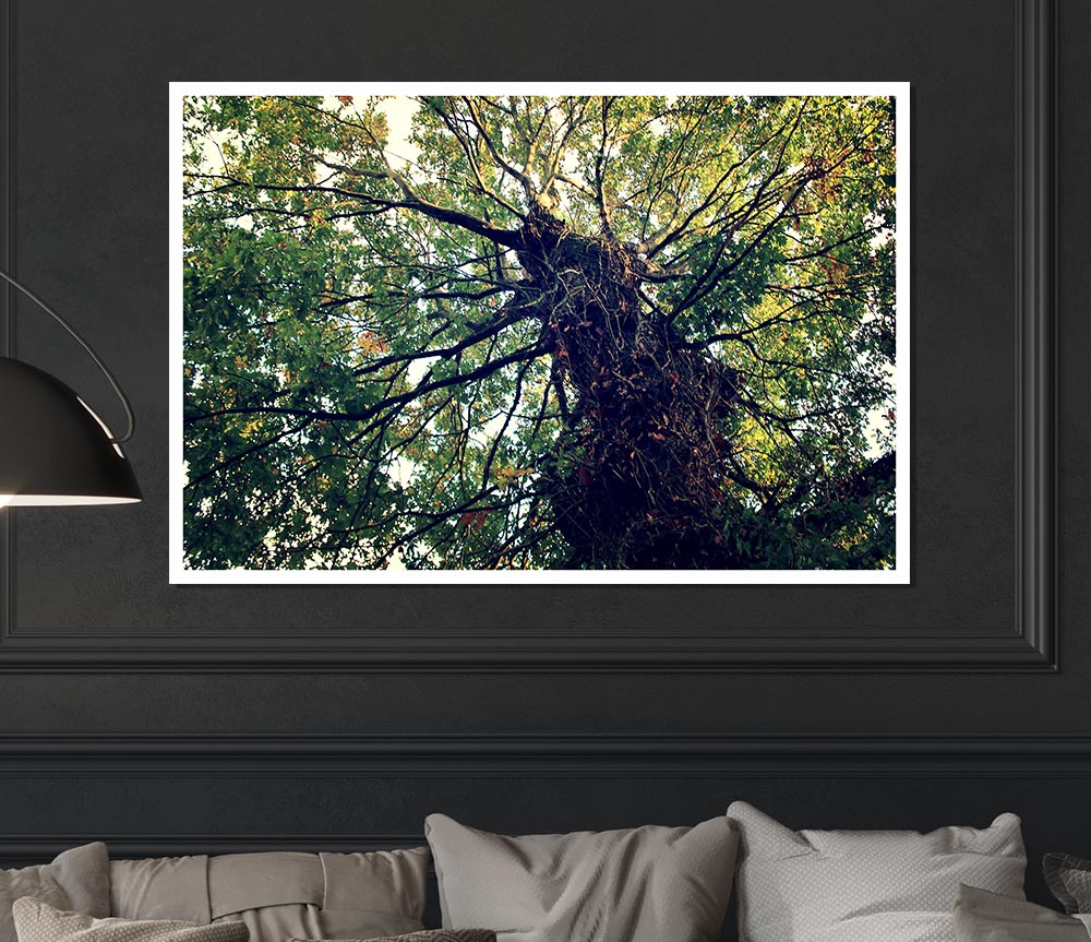 A beautiful canvas poster featuring an Ancient Forest Tree, showcasing intricate details and vibrant colors, perfect for home decor.