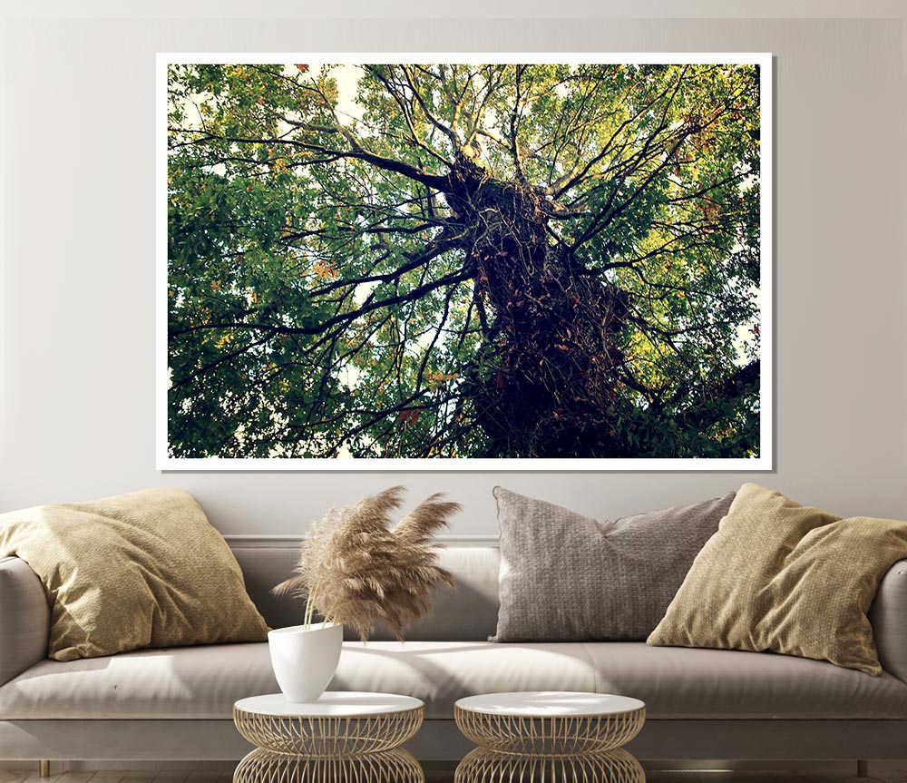 A beautiful canvas poster featuring an Ancient Forest Tree, showcasing intricate details and vibrant colors, perfect for home decor.