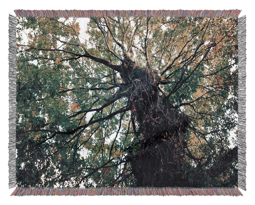 Luxurious Ancient Forest Tree throw blanket made from 100% cotton, featuring a thermal weave for breathability and a classic design.