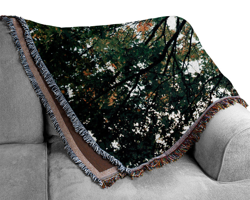 Luxurious Ancient Forest Tree throw blanket made from 100% cotton, featuring a thermal weave for breathability and a classic design.