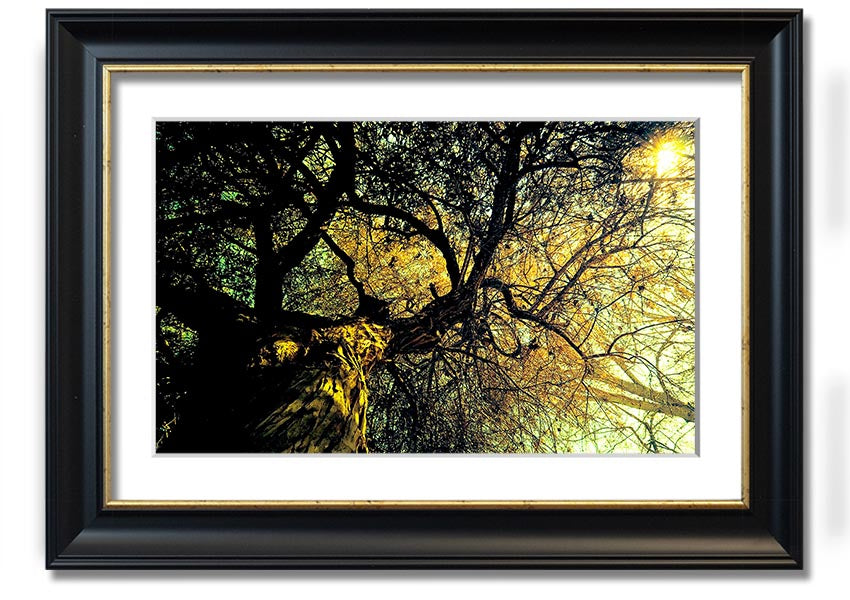 A beautifully framed print of an ancient tree, showcasing intricate details and vibrant colors, available in various frame options.