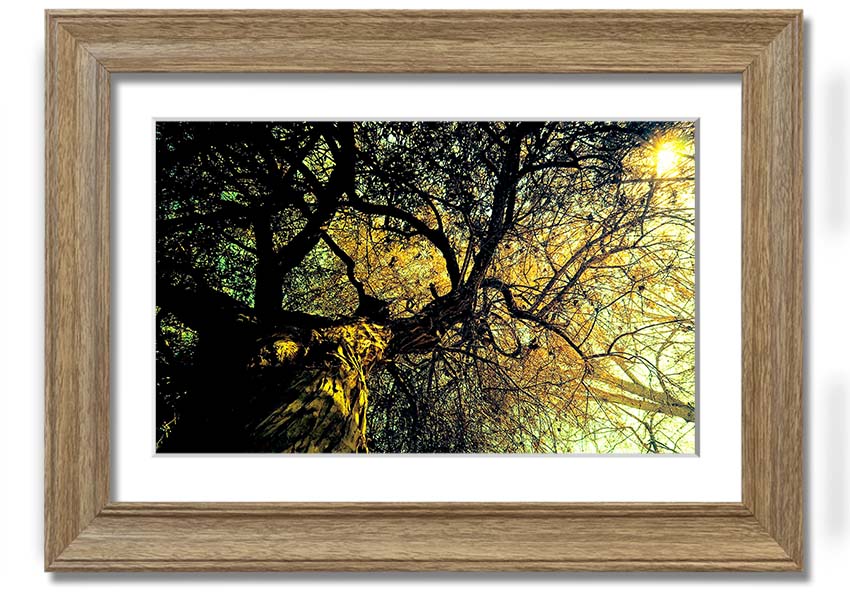 A beautifully framed print of an ancient tree, showcasing intricate details and vibrant colors, available in various frame options.