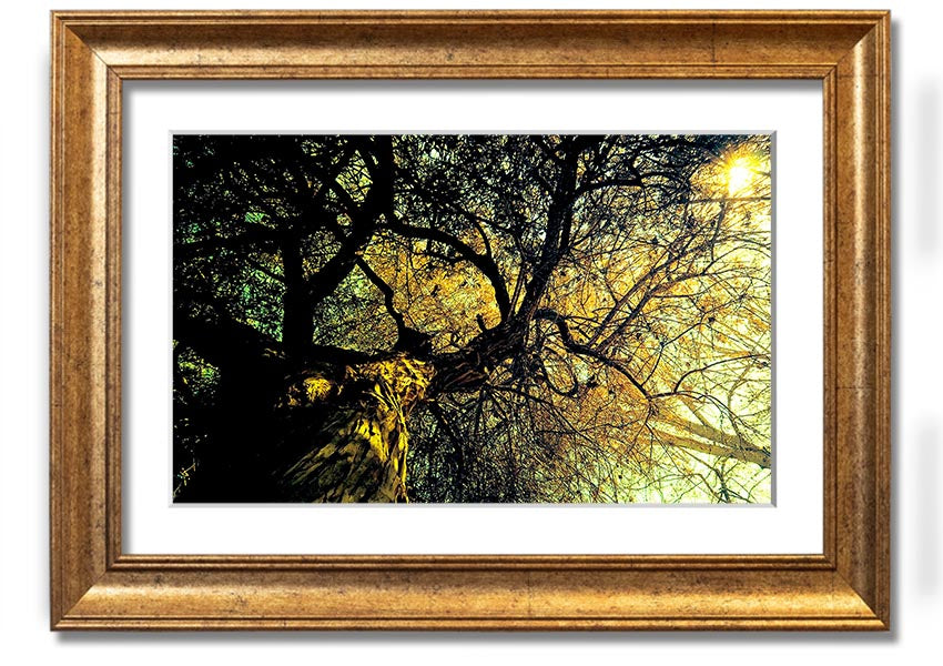 A beautifully framed print of an ancient tree, showcasing intricate details and vibrant colors, available in various frame options.