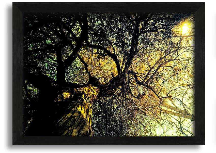 A beautifully framed print of an ancient tree, showcasing intricate details and vibrant colors, available in various frame options.