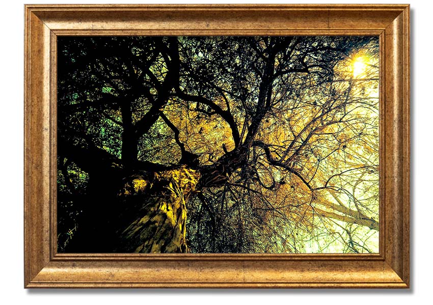 A beautifully framed print of an ancient tree, showcasing intricate details and vibrant colors, available in various frame options.