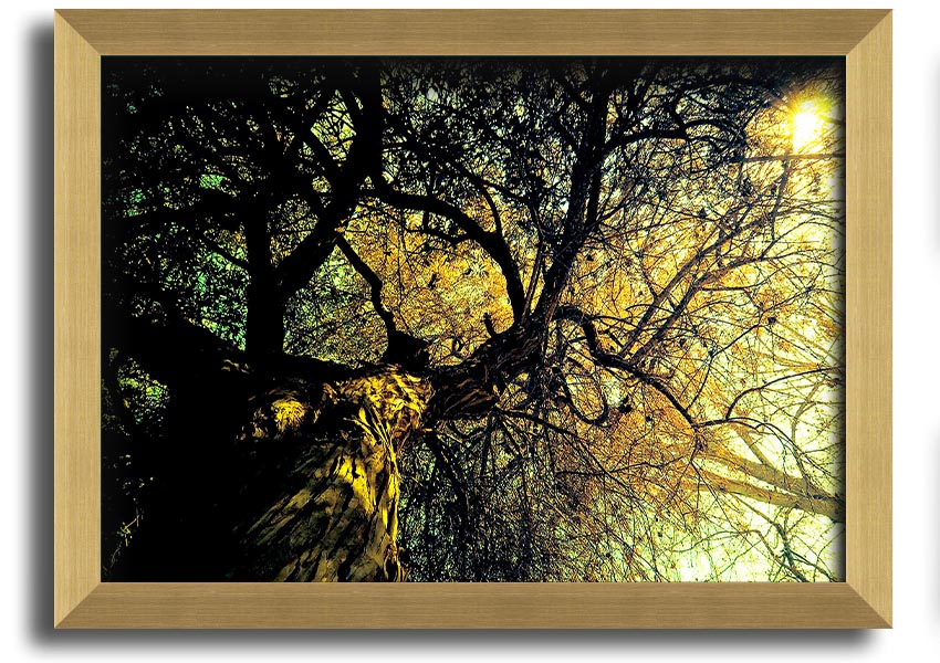 A beautifully framed print of an ancient tree, showcasing intricate details and vibrant colors, available in various frame options.