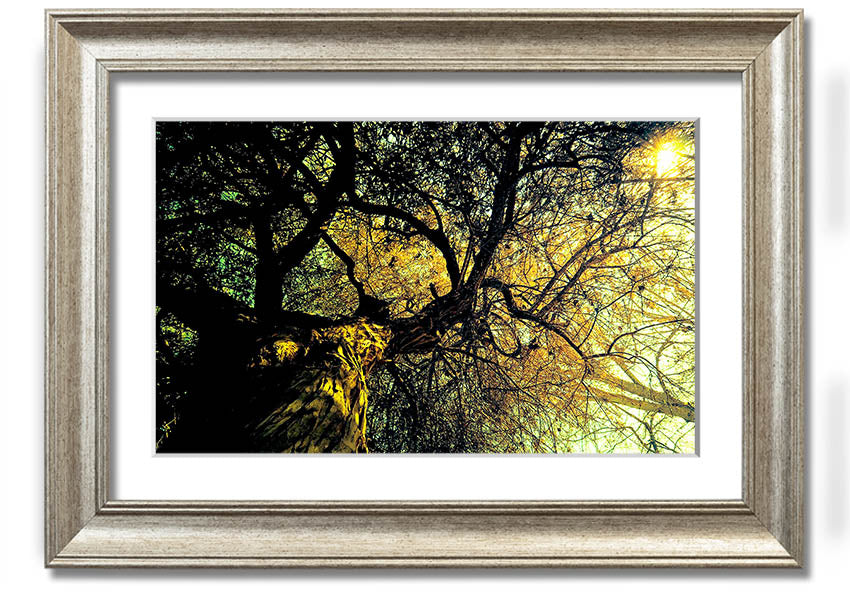 A beautifully framed print of an ancient tree, showcasing intricate details and vibrant colors, available in various frame options.