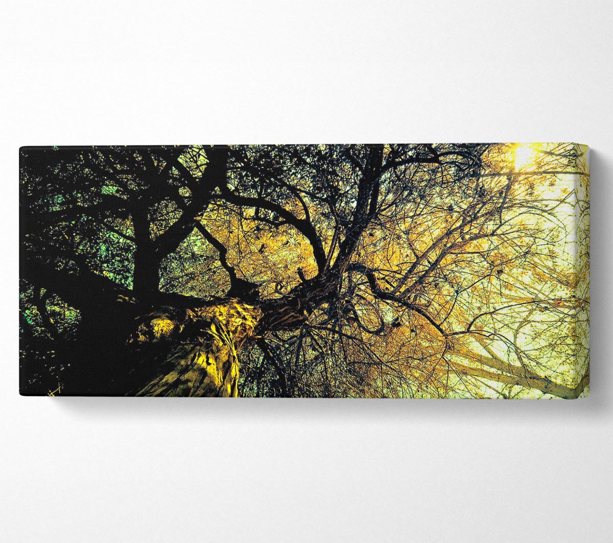 A beautifully printed canvas of an Ancient Tree, mounted on a 44mm box frame, showcasing intricate details and vibrant colors.