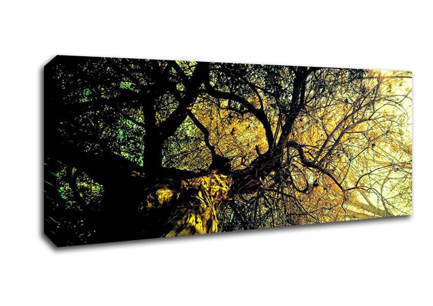 A beautifully printed canvas of an Ancient Tree, mounted on a 44mm box frame, showcasing intricate details and vibrant colors.