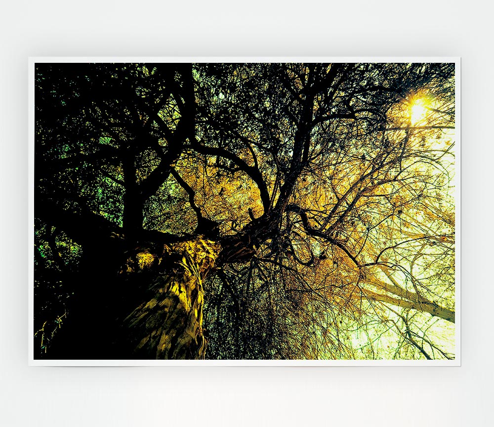 A beautifully detailed Ancient Tree poster printed on high-quality canvas, showcasing intricate bark and lush leaves.