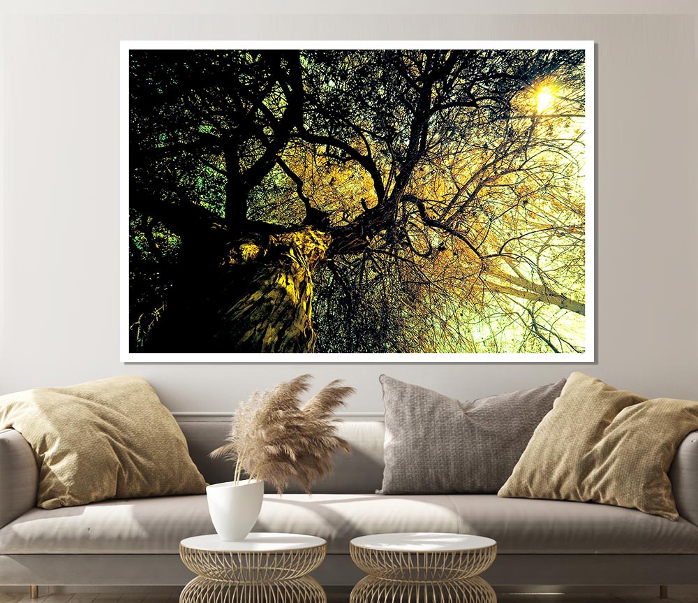 A beautifully detailed Ancient Tree poster printed on high-quality canvas, showcasing intricate bark and lush leaves.