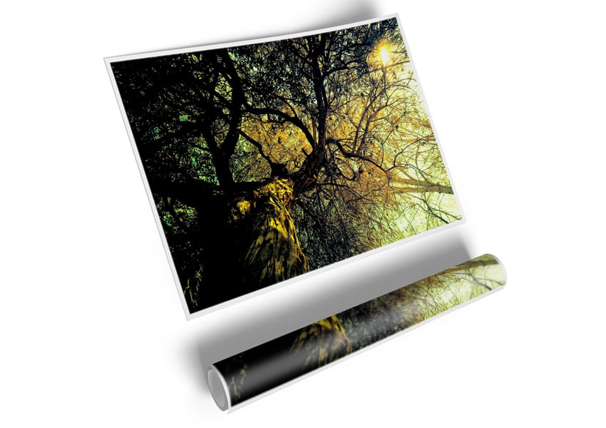 A beautifully detailed Ancient Tree poster printed on high-quality canvas, showcasing intricate bark and lush leaves.