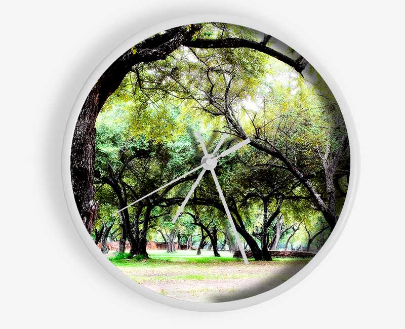 A stylish Ancient Woodland Trees clock made from natural bamboo, featuring a round face and clear Plexiglas lens, available in black, white, and natural frame colors.