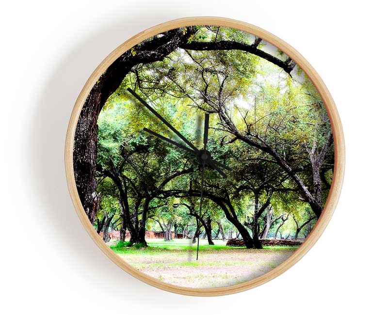 A stylish Ancient Woodland Trees clock made from natural bamboo, featuring a round face and clear Plexiglas lens, available in black, white, and natural frame colors.